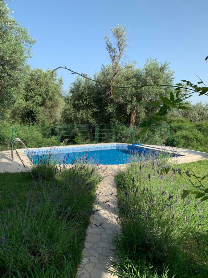Green Villa In Olives Bar Kültér fotó